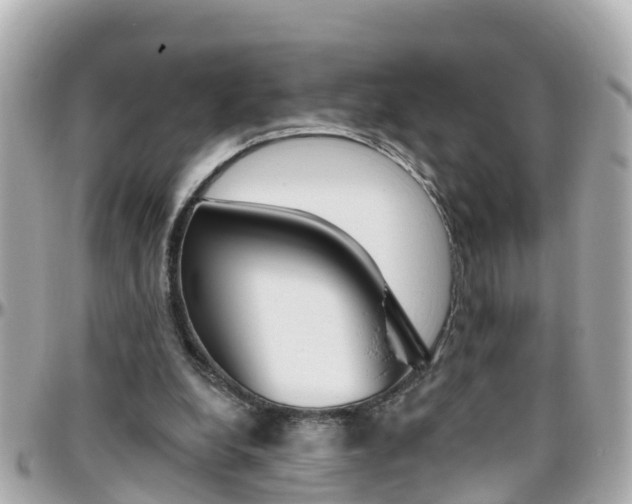 X0000096450248200801241146