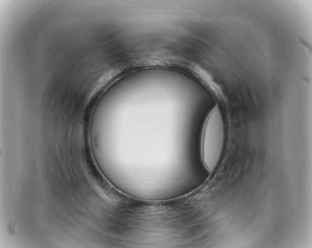 X0000096450250200801241146
