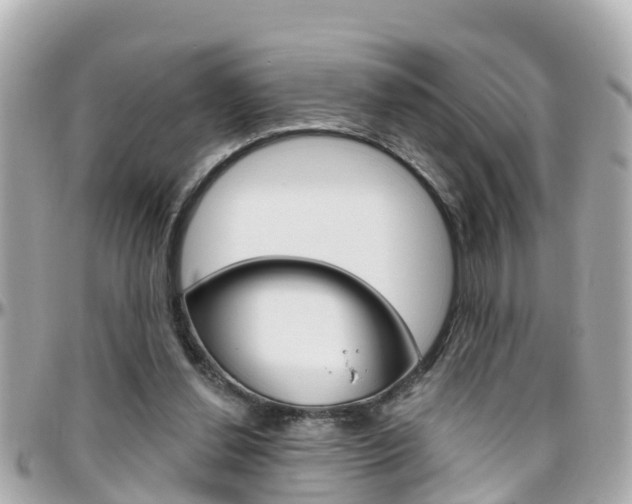 X0000096450252200801241146