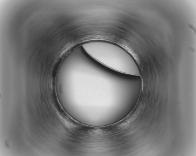 X0000096450253200801241146