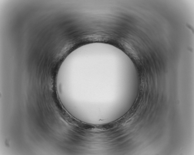X0000096450255200801241146
