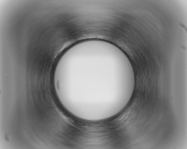 X0000096450256200801241146