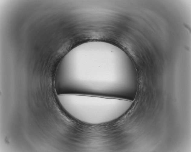 X0000096450257200801241146