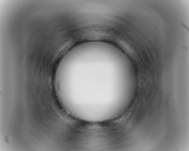 X0000096450258200801241146