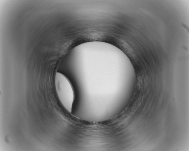 X0000096450259200801241146