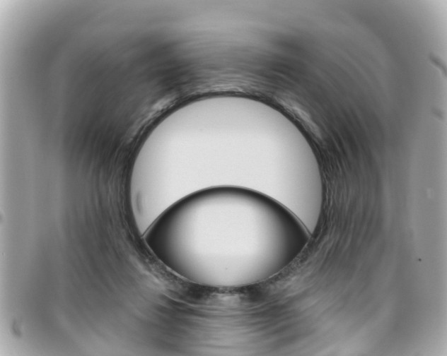 X0000096450260200801241146