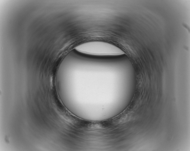 X0000096450262200801241146