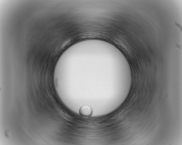 X0000096450264200801241146