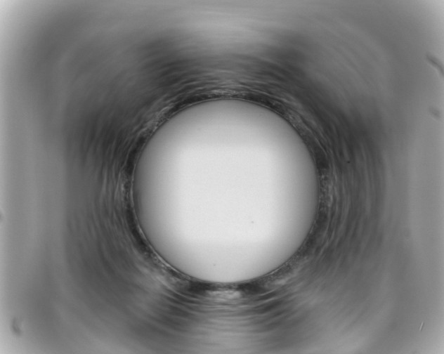 X0000096450266200801241146