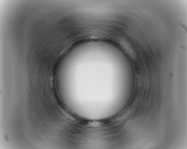 X0000096450269200801241146