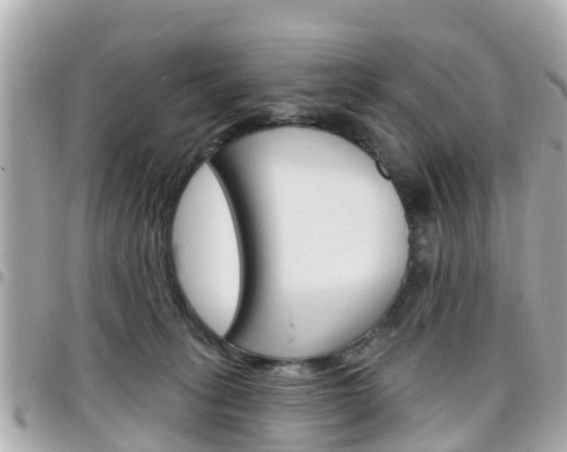 X0000096450275200801241146
