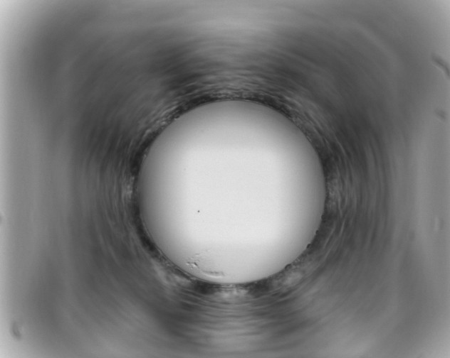 X0000096450278200801241146