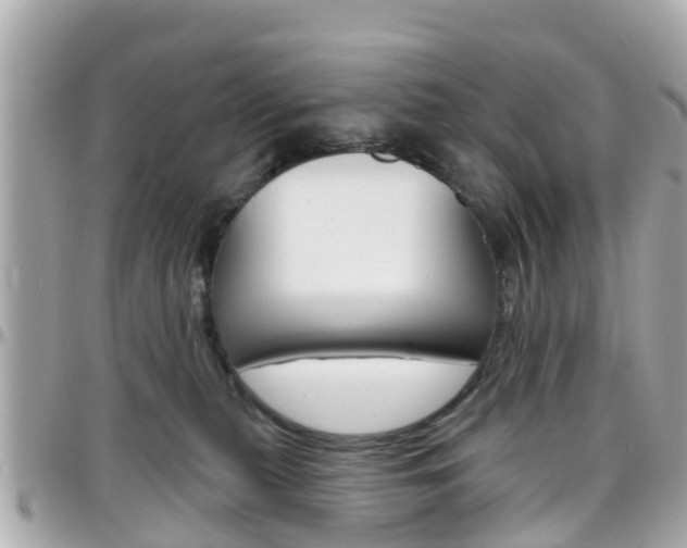 X0000096450279200801241146