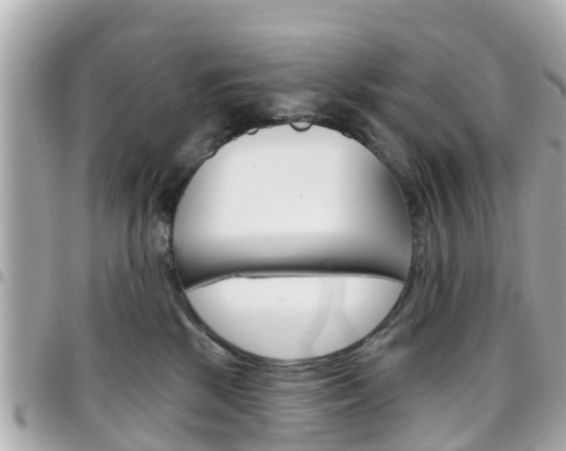 X0000096450281200801241147