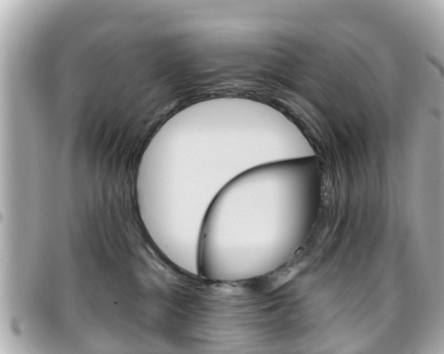 X0000096450284200801241147