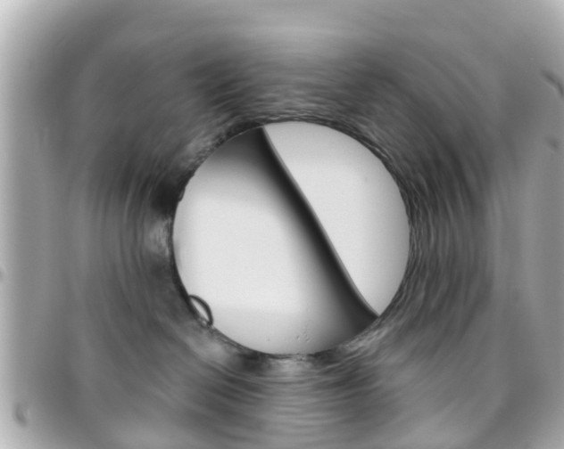 X0000096450286200801241147