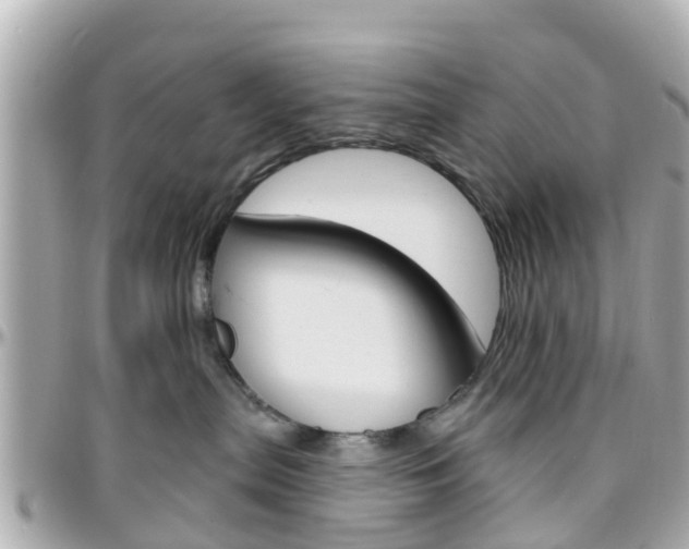 X0000096450287200801241147