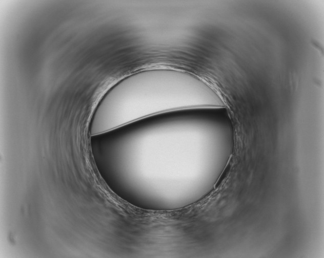 X0000096450289200801241146