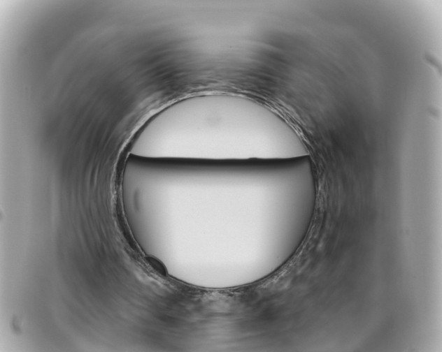 X0000096450290200801241146
