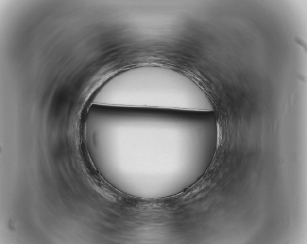 X0000096450291200801241146
