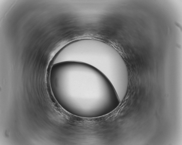 X0000096450292200801241146