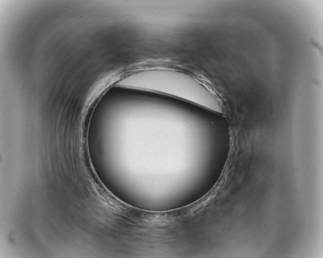 X0000096450293200801241146