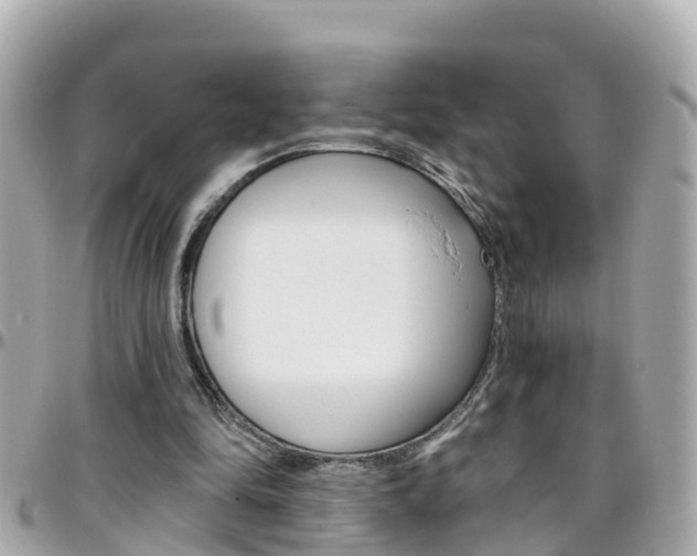 X0000096450294200801241146