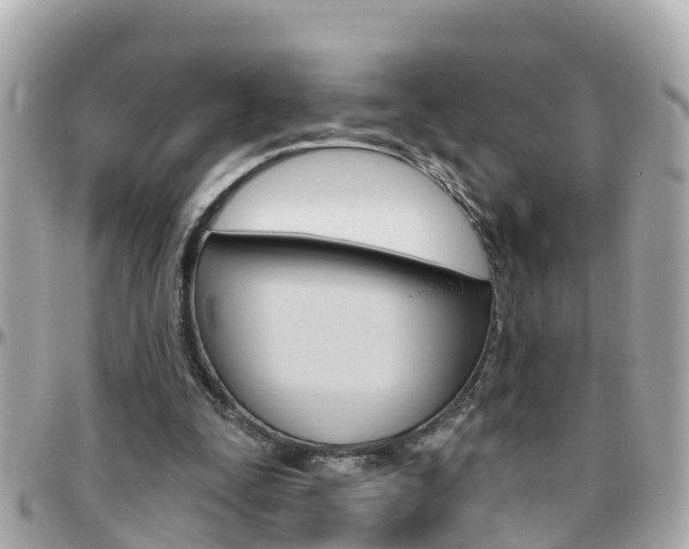 X0000096450295200801241146