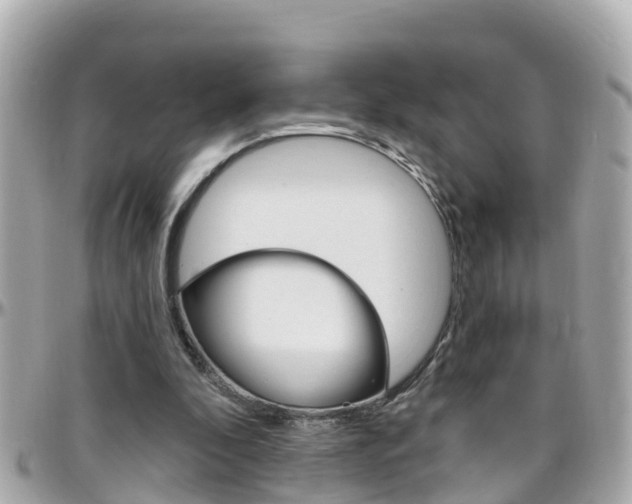 X0000096450296200801241146
