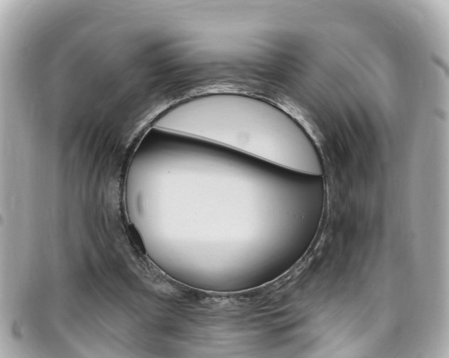X0000096450297200801241146