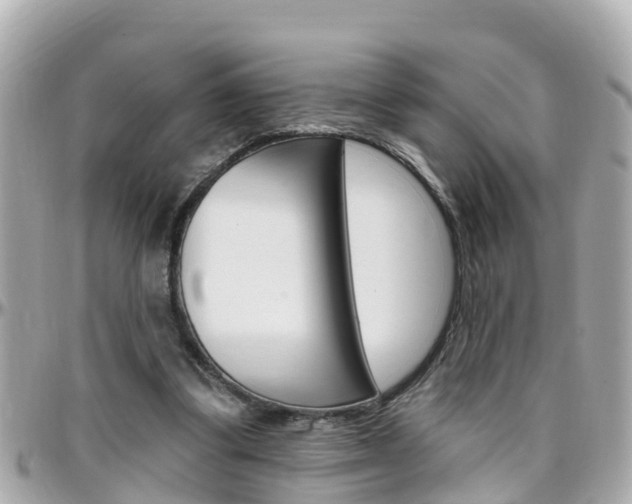 X0000096450299200801241146