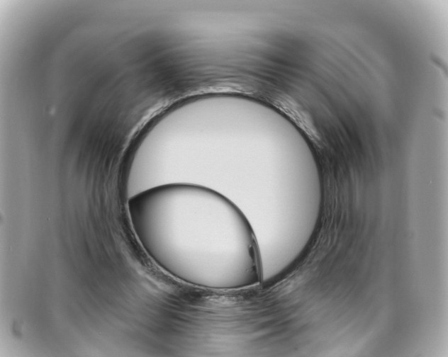 X0000096450300200801241146