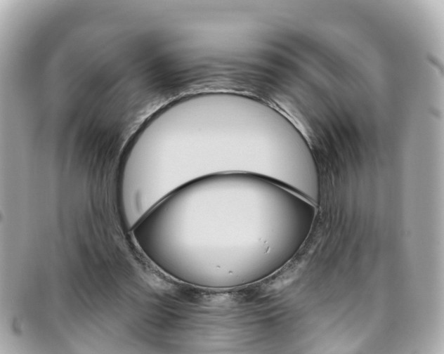 X0000096450301200801241146