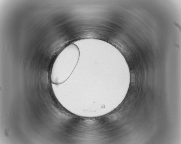 X0000096450302200801241146
