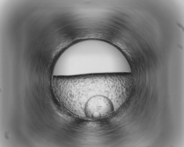 X0000096450303200801241146