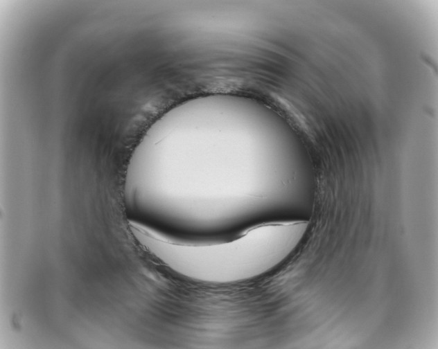 X0000096450307200801241146
