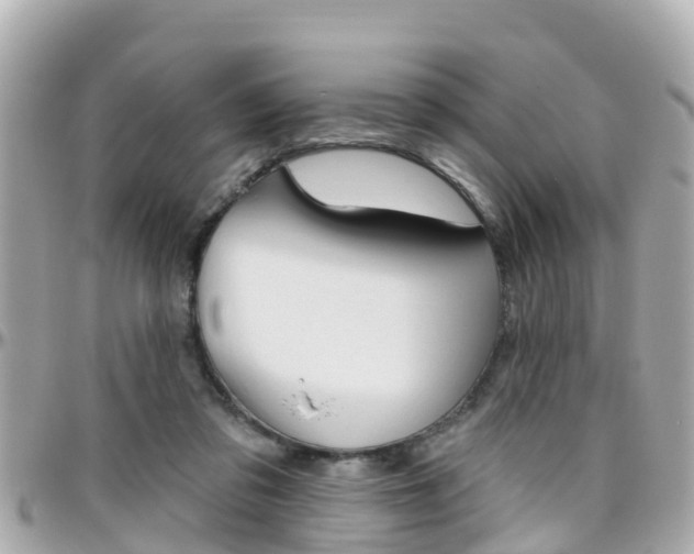 X0000096450309200801241146