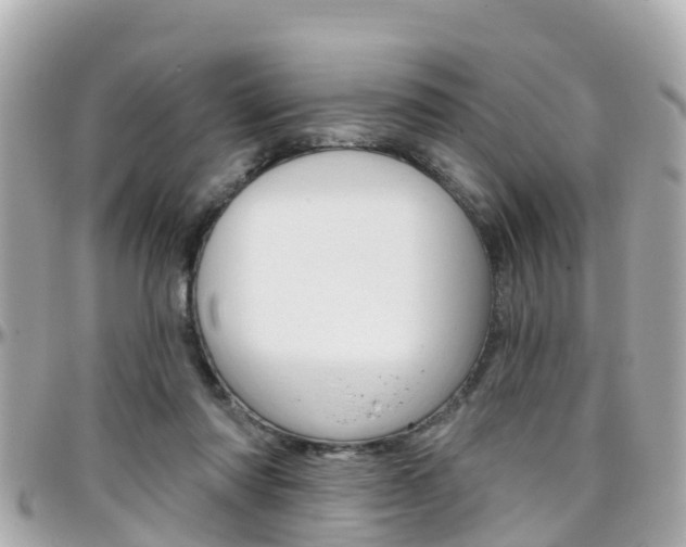 X0000096450310200801241146