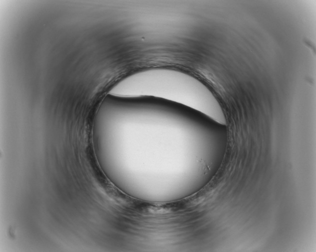 X0000096450311200801241146