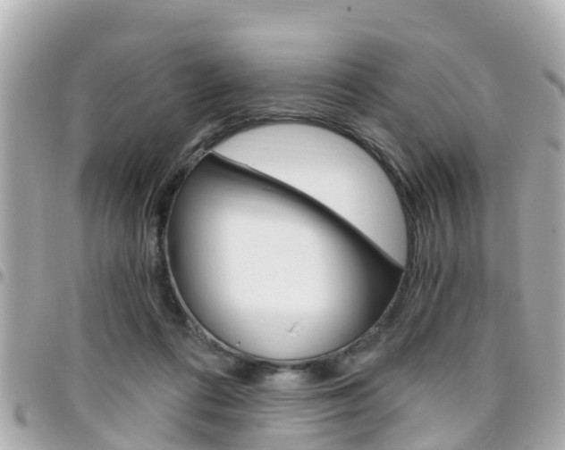X0000096450312200801241146