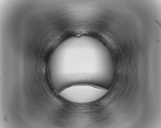 X0000096450315200801241146