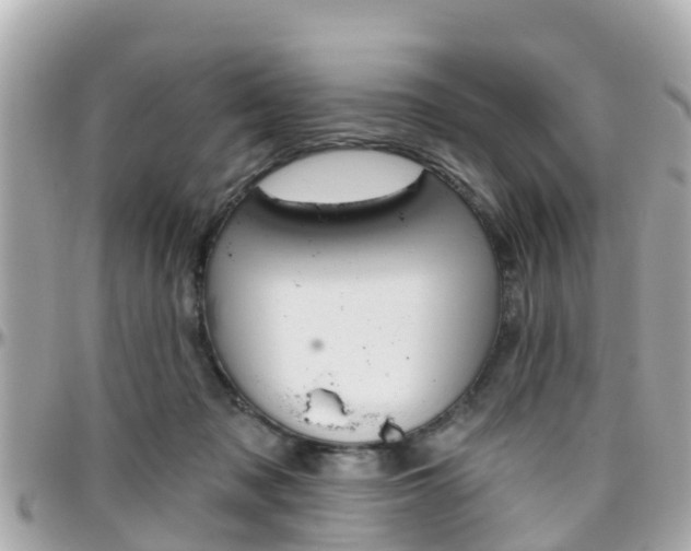 X0000096450317200801241146