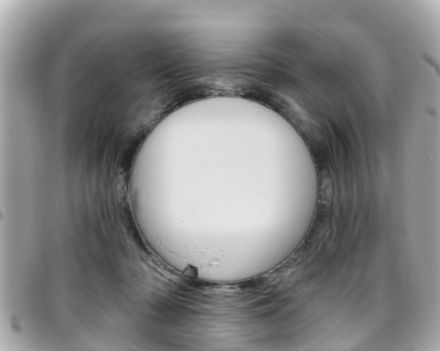 X0000096450318200801241146