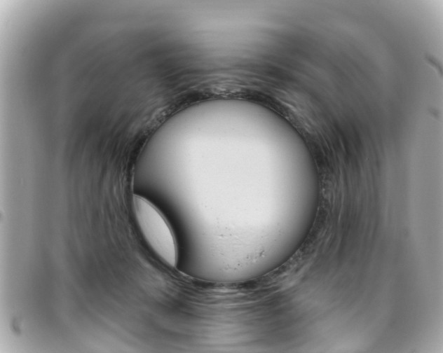 X0000096450319200801241146