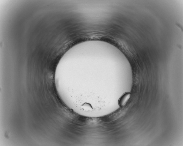 X0000096450321200801241146