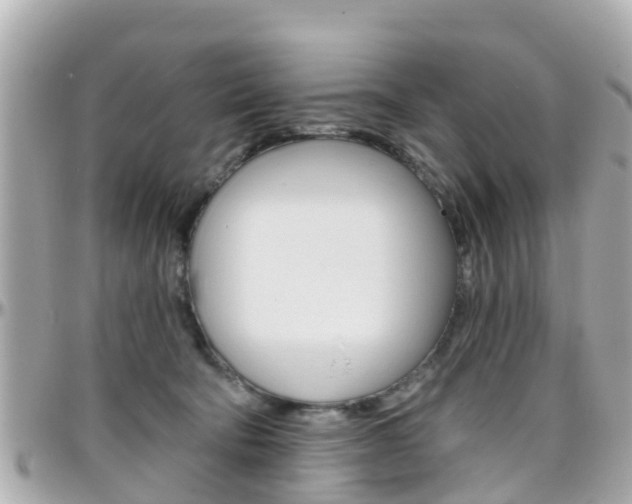X0000096450322200801241145