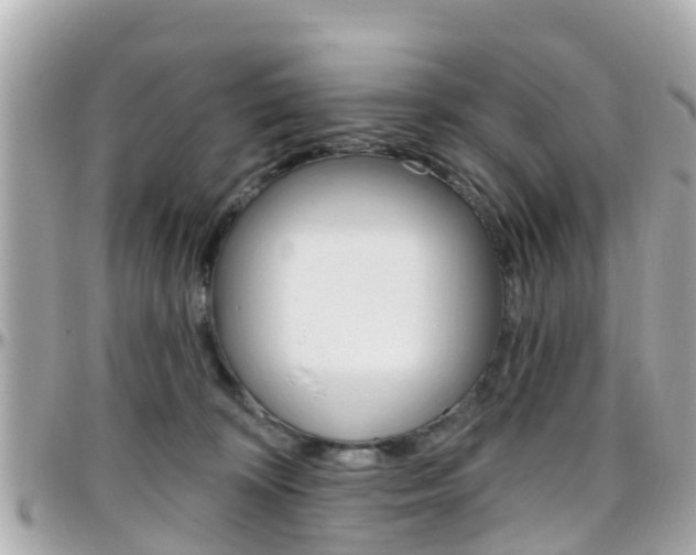 X0000096450324200801241145
