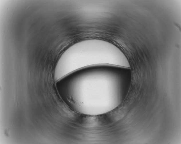 X0000096450325200801241145