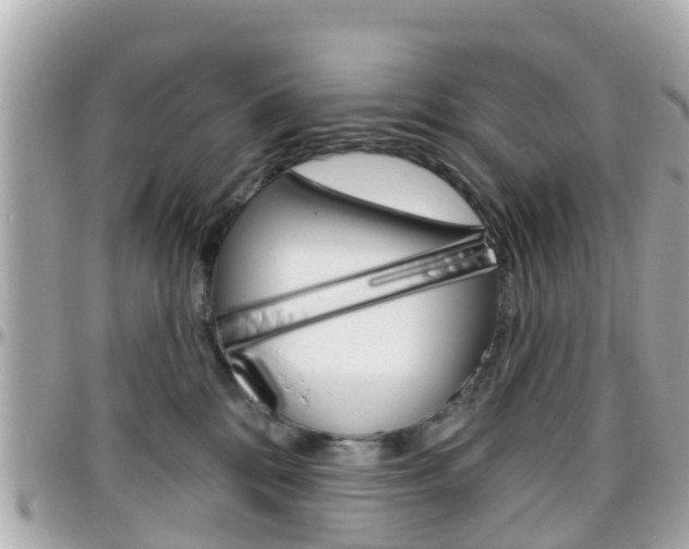 X0000096450328200801241145