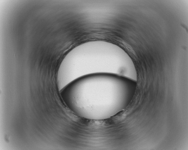 X0000096450329200801241145